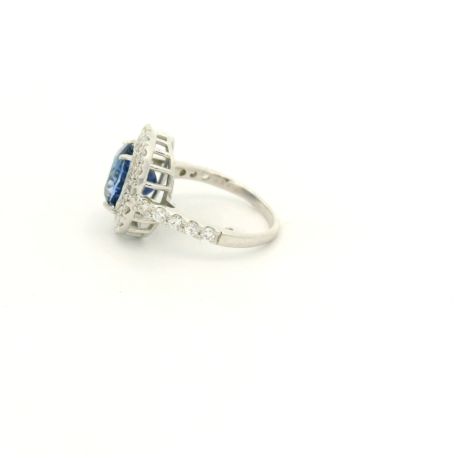 A Platinum Ring with a Prong set oval cut natural GIA certified Sapphire in the center with a halo of pavé diamonds at Forever Rox Fine Jewelry, Lake Tahoes Best Jewelry Store
