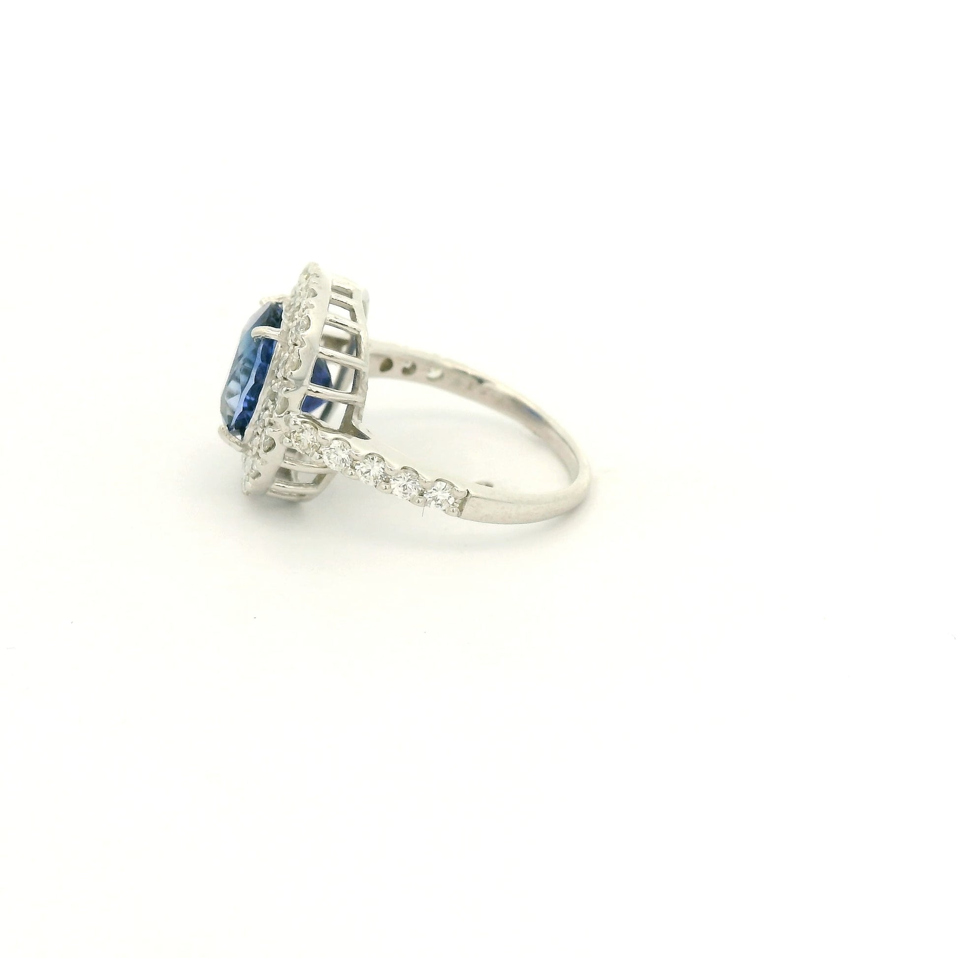 A Platinum Ring with a Prong set oval cut natural GIA certified Sapphire in the center with a halo of pavé diamonds at Forever Rox Fine Jewelry, Lake Tahoes Best Jewelry Store
