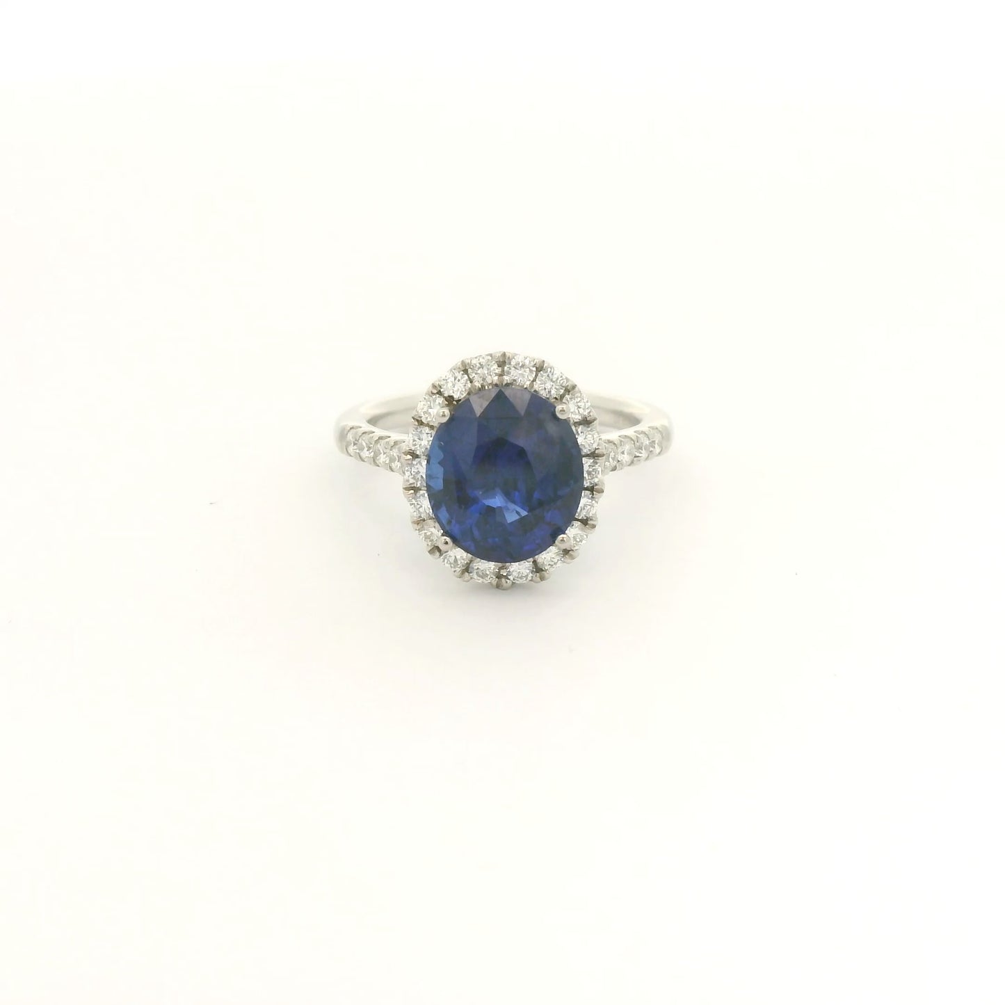 A Platinum Ring with a prong set oval cut natural Sapphire in the center with a diamond halo and diamonds down shank at Forever Rox Fine Jewelry, Lake Tahoes Best Jewelry Store