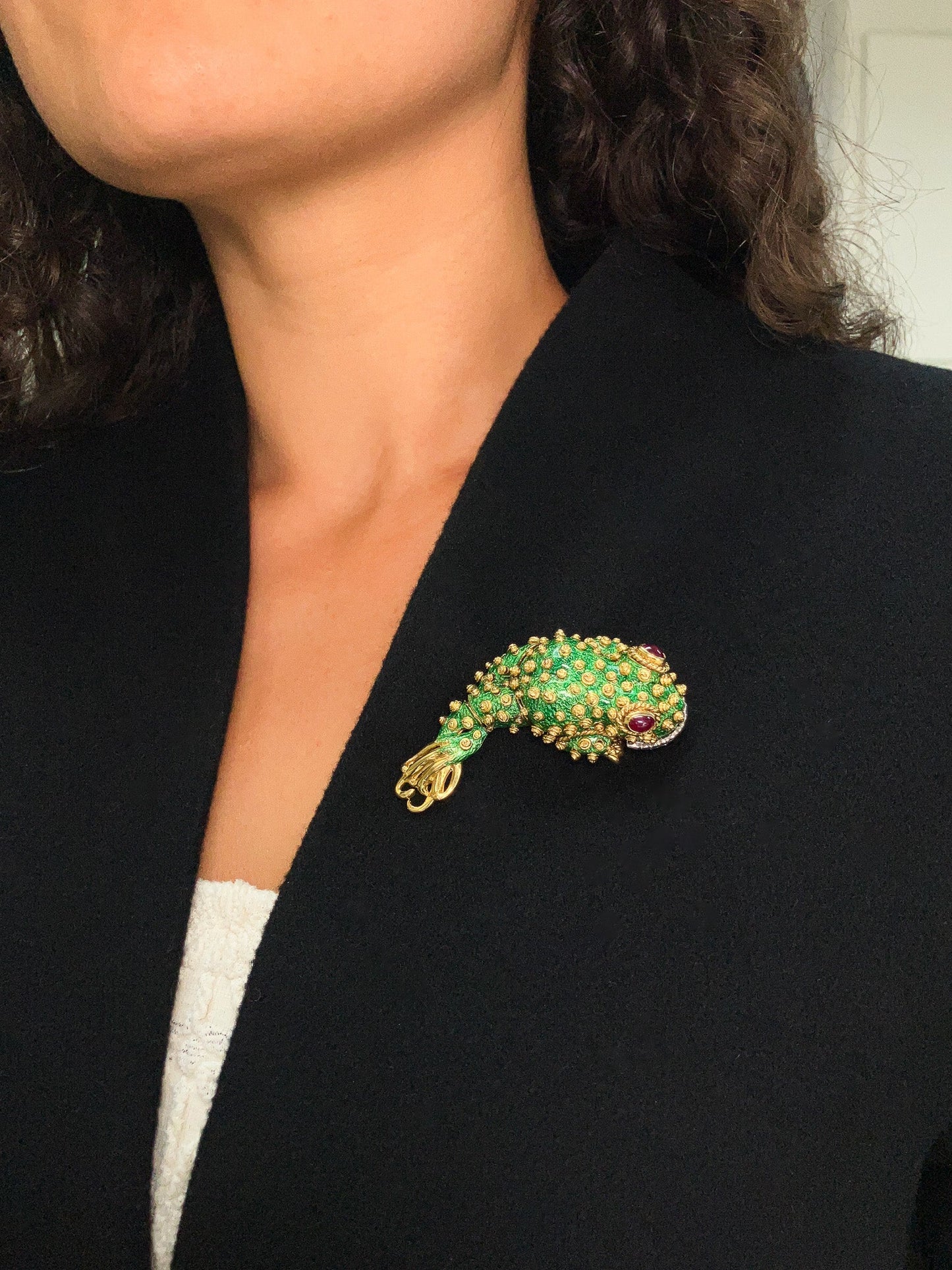 Enamel Tadpole Brooch with Rubies & Diamonds by David Webb, 18k· - Forever Rox