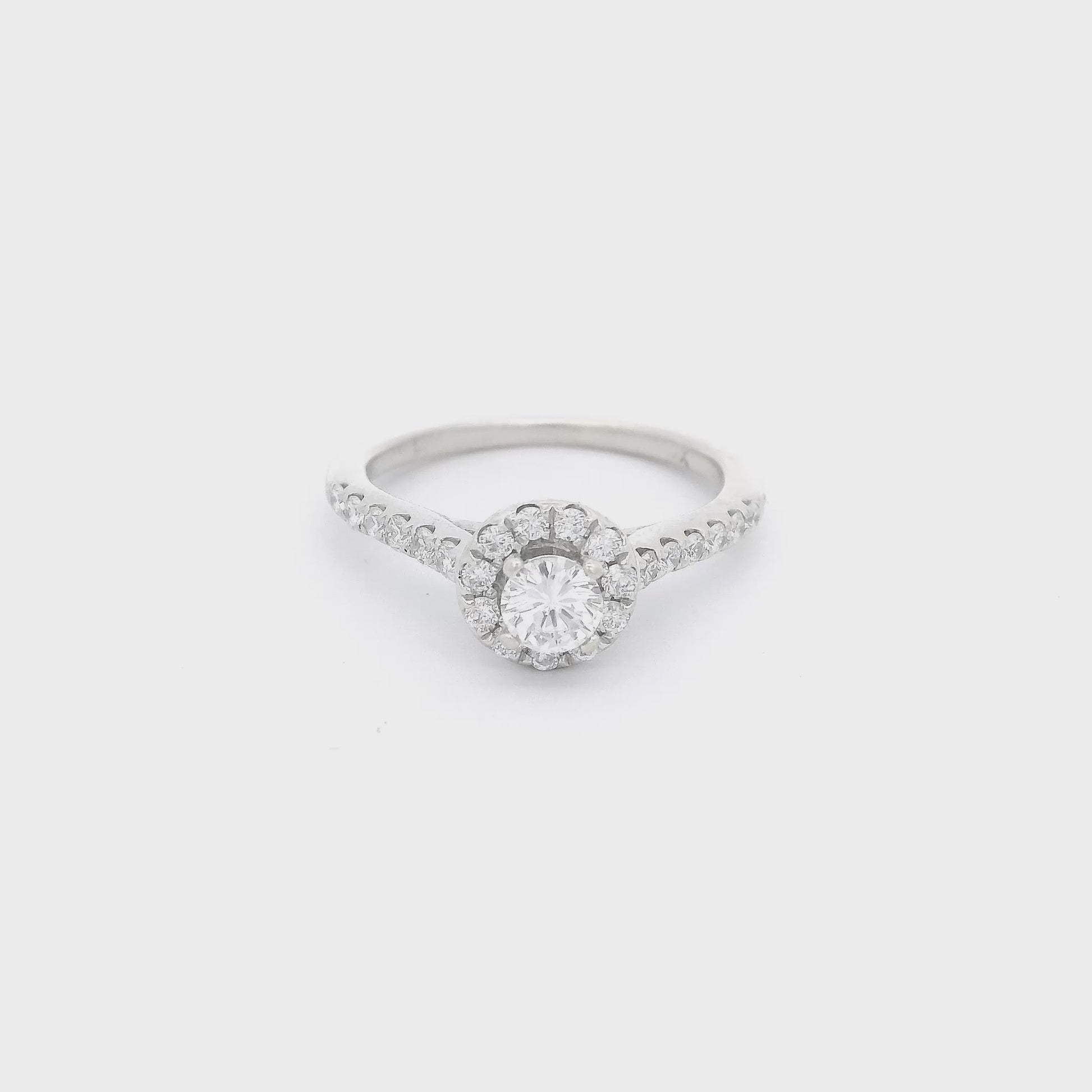 White Gold Diamond bridal ring with diamonds on band at Forever Rox Fine Jewelry
