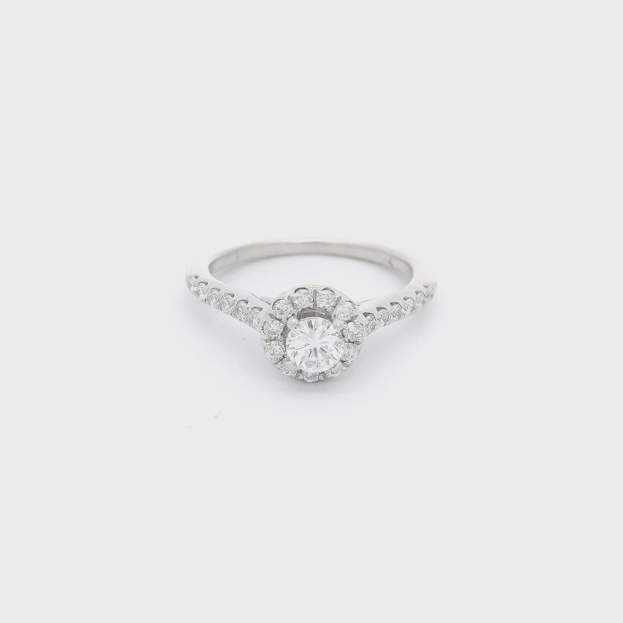 White Gold Diamond bridal ring with diamonds on band at Forever Rox Fine Jewelry