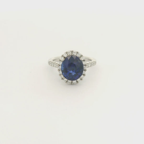 A Platinum Ring with a prong set oval cut natural Sapphire in the center with a diamond halo and diamonds down shank at Forever Rox Fine Jewelry, Lake Tahoes Best Jewelry Store
