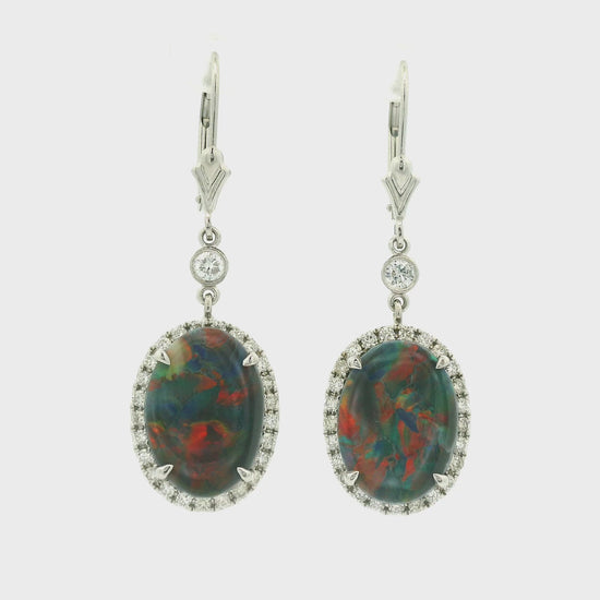 A Pair of White Gold Earrings with prong set oval cut natural Black Lightning Ridge Opals in the center with a diamond halo at Forever Rox Fine Jewelry, Lake Tahoes Best Jewelry Store