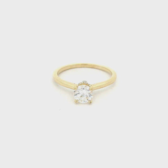 Yellow Gold ring with a solitaire set round cut diamond and diamonds around the bottom of the head at Forever Rox Fine Jewelry