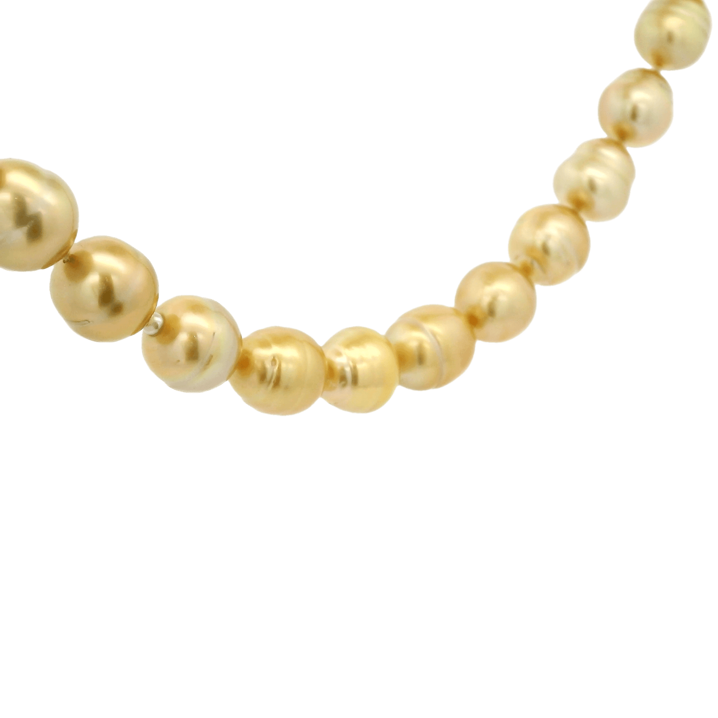 South Sea Pearl Necklace - Forever Rox