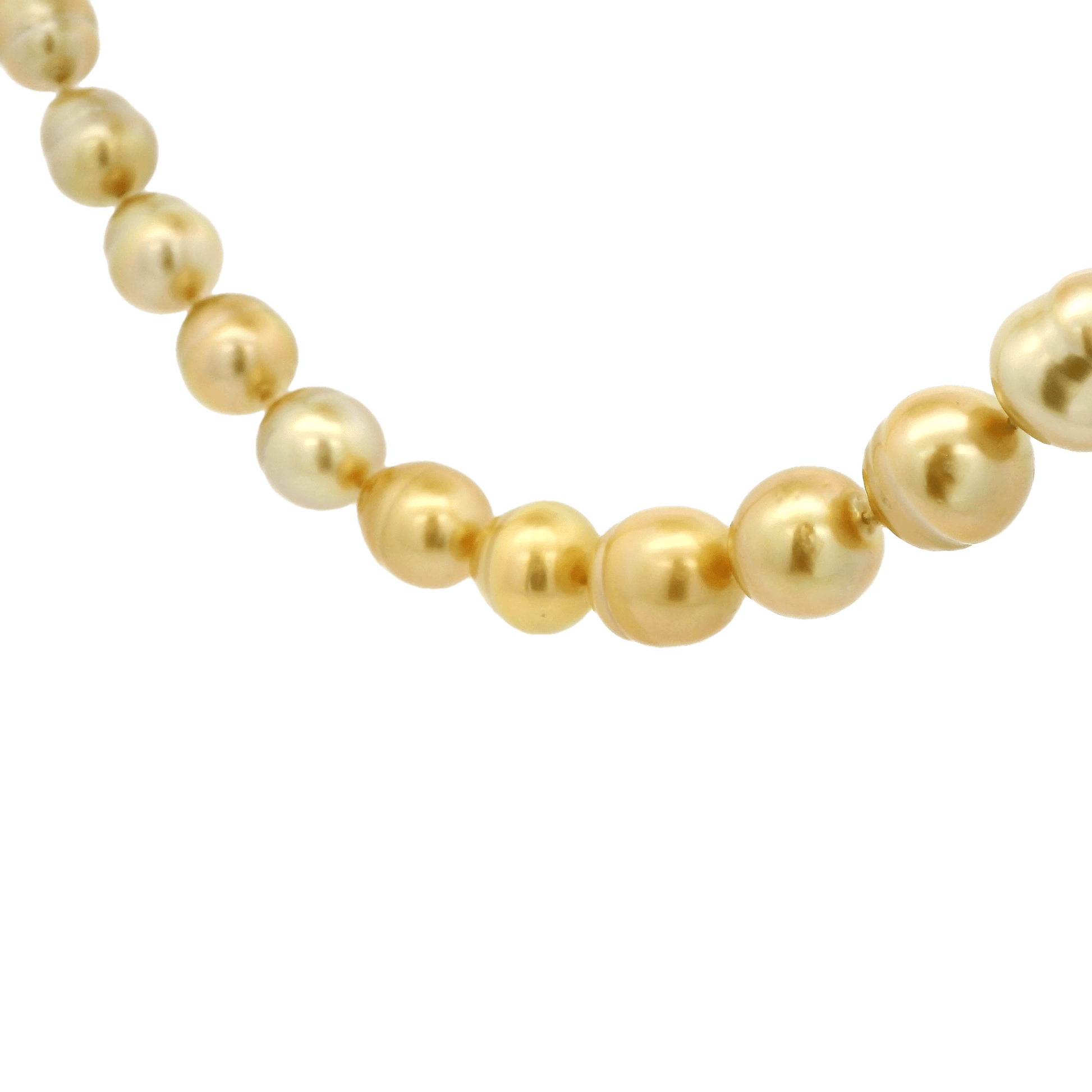 South Sea Pearl Necklace - Forever Rox