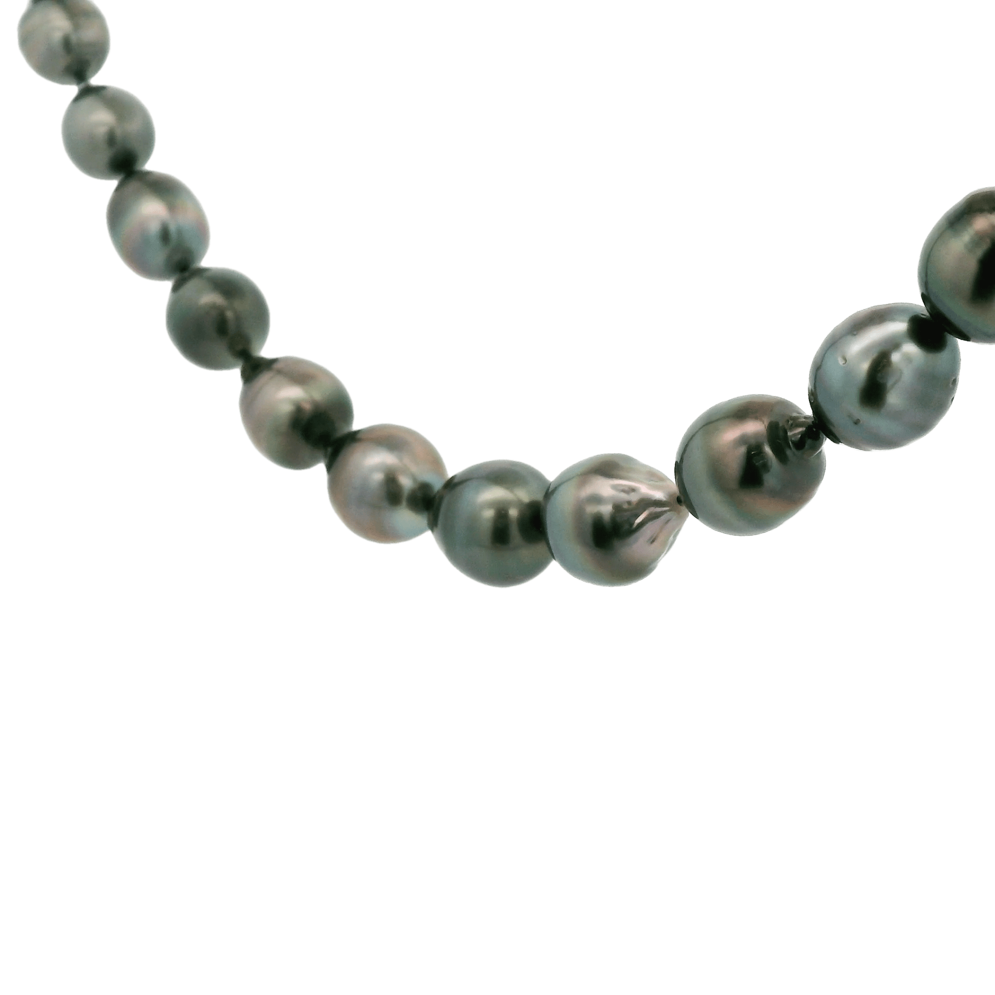 Tahitian Pearl Necklace - Forever Rox