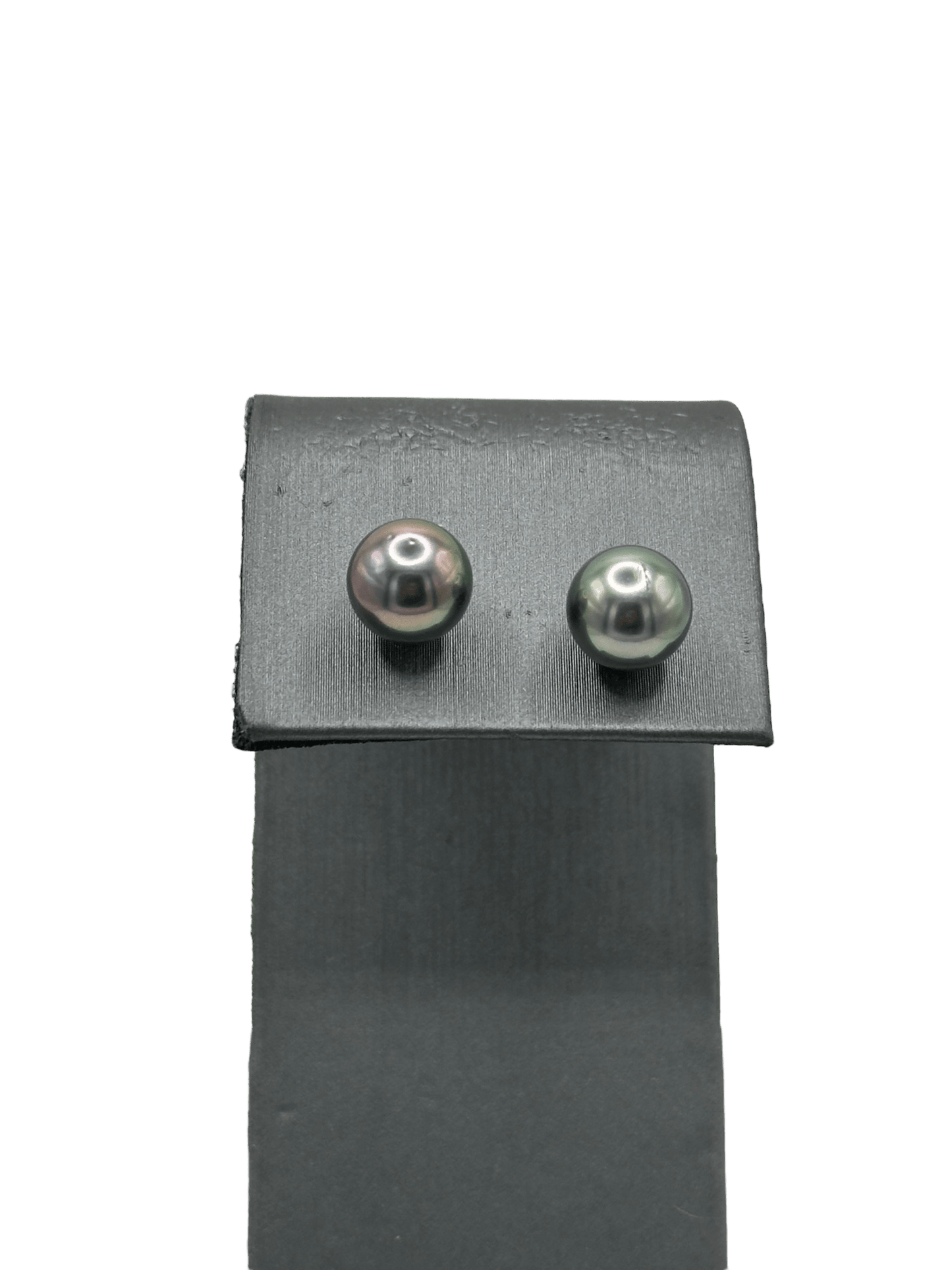 Tahitian Peral Studs - Forever Rox